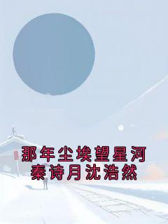 那年尘埃望星河秦诗月沈浩然