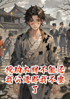 授功木牌不能还我公道那我不要了