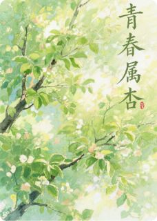 青春属杏
