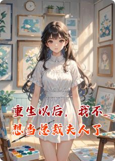 重生以后，我不想当总裁夫人了