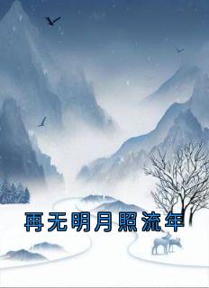 再无明月照流年