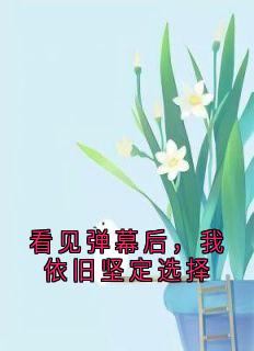 看见弹幕后，我依旧坚定选择