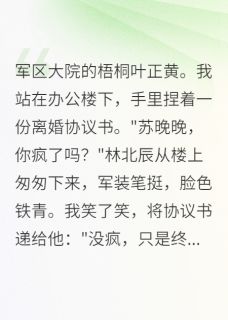 军区首长求复合，我拒绝了