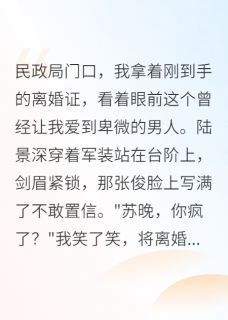 重生后，我让军区首长净身出户