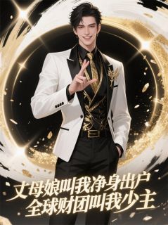 岳母逼我净身出户全球财团叫少主