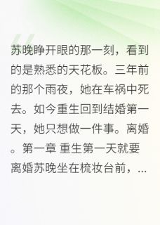 重生后离婚，前夫后悔来不及