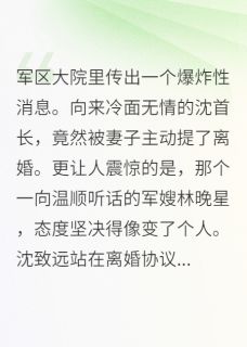 冷面军官的挽妻攻略