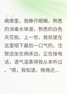重生后直接提离婚，他傻眼了