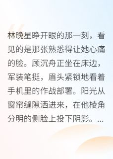我给军区首长发了离婚协议