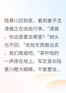 前夫是首长，离婚后他慌了