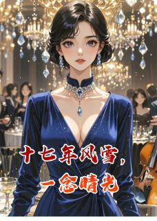 十七年风雪，一念晴光