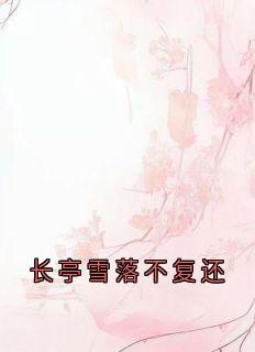 长亭雪落不复还