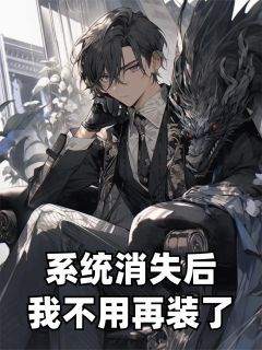 系统消失后，我不用再装了