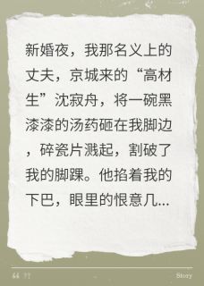 寂舟渡我：我用一生赌你爱我