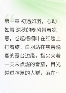 风雪同舟，羽落归巢