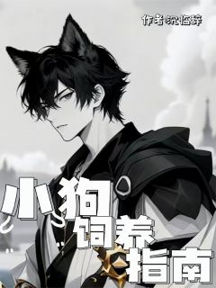 小狗饲养指南