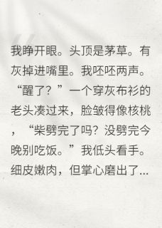 穿书修仙，我成了天道的bug