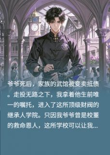 我是格斗世家的最后传人