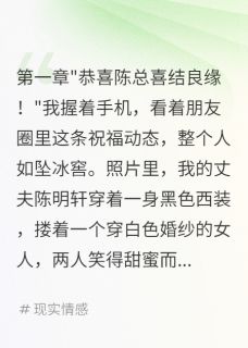 三年假婚姻，我被骗了二百万