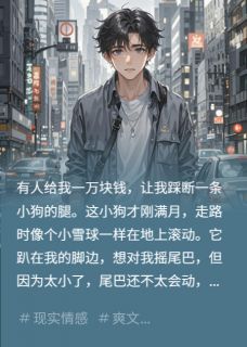 综艺挑战：为了钱我不择手段