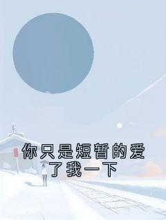 你只是短暂的爱了我一下
