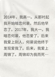 该死的小偷