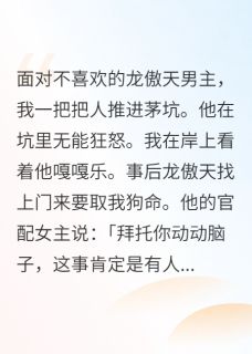 龙傲天与傻子修二代二三事