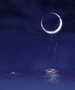 槐安落尽花开