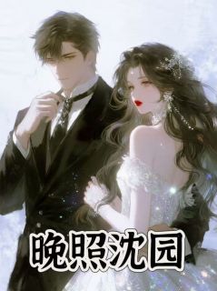 晚照沈园