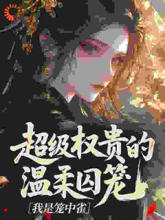 超级权贵的温柔囚笼，我是笼中雀