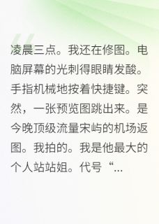 顶流隐婚对象是站姐本人