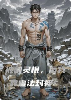 被割灵根，后我靠雷法封神！