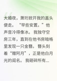 他锁在暗格里的金丝雀