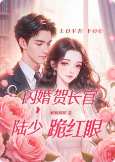 闪婚贺长官，陆少跪红眼