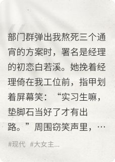偷我方案？送你毁容坐牢