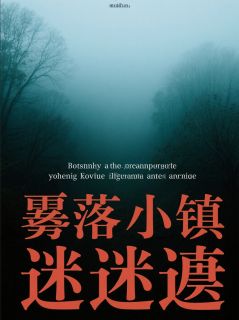 雾落镇迷局