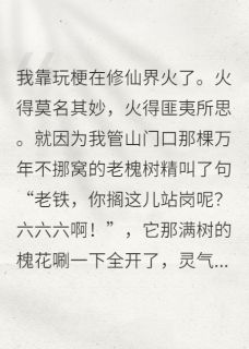 在修仙界玩梗走红