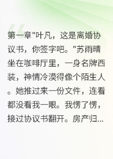 高冷妻子离婚半年后疯狂纠缠