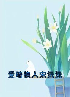 爱暗撩人宋沅沅