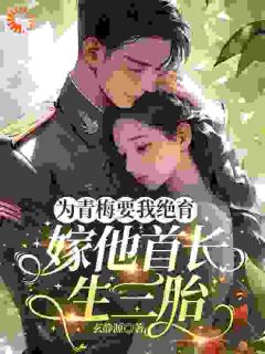 高冷军官缠上身：你得负责