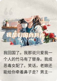 我是小说里归国的白月光
