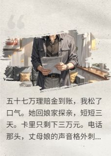 五十万赔款，我送丈母娘全家上路
