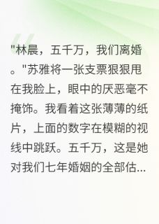 豪门前夫转走三千万当天我破产了