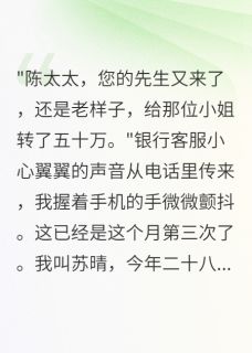 老公背着我养小三三年后求复合