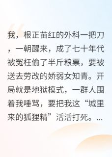 妇科圣手俏知青，糙汉军官红了脸