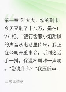 给小三开五百万副卡我让他破产