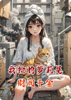 我捡的萝莉是财阀千金