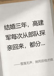 雪落无声，她死后他才疯