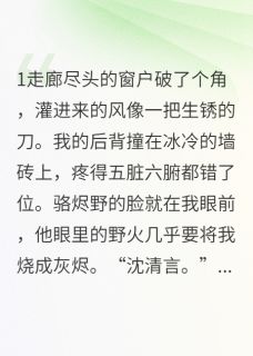 月落时吻你