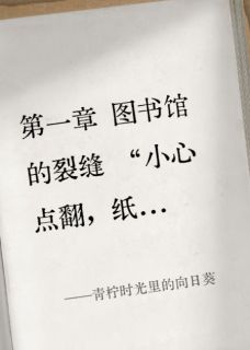 青柠时光里的向日葵